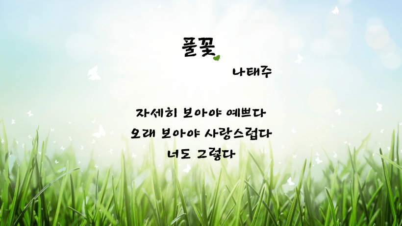 풀꽃 나태주