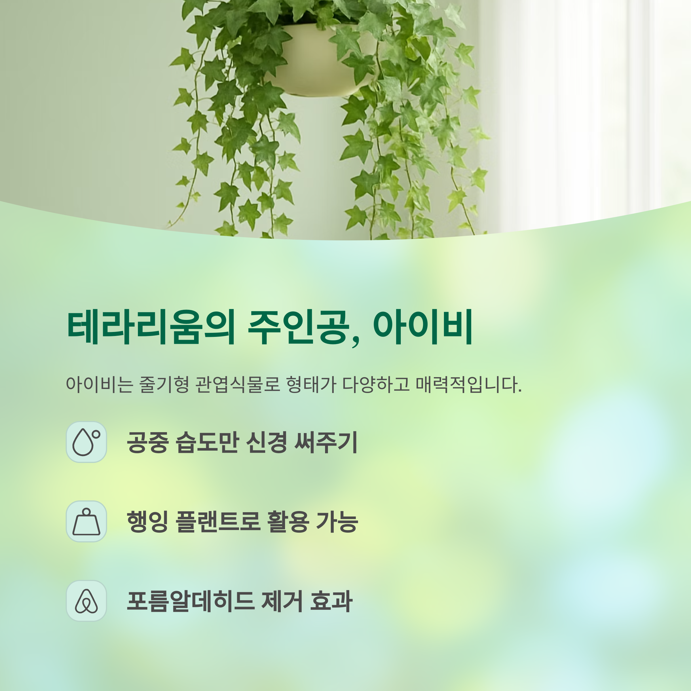 테라리움의 주인공 아이비