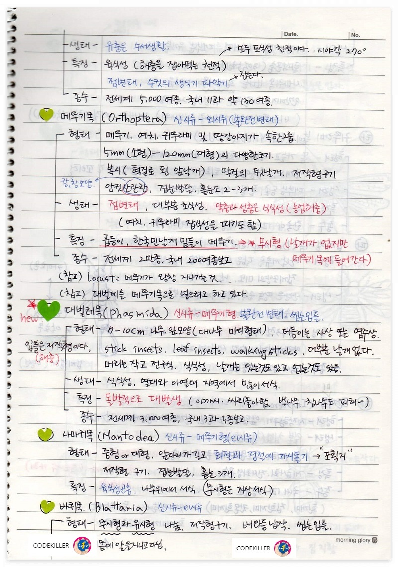 곤충의 계통분류 - 잠자리목&#44; 메뚜기목&#44; 대벌레목&#44; 사마귀목&#44; 바퀴목