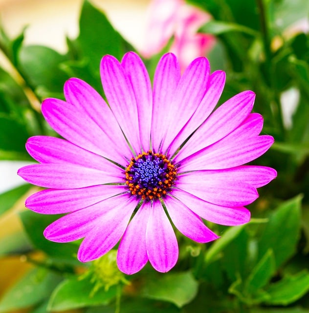 소득 하위 70% 아파트