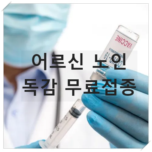 65세 이상 어르신&middot;노인 무료 독감 접종 시기 병원