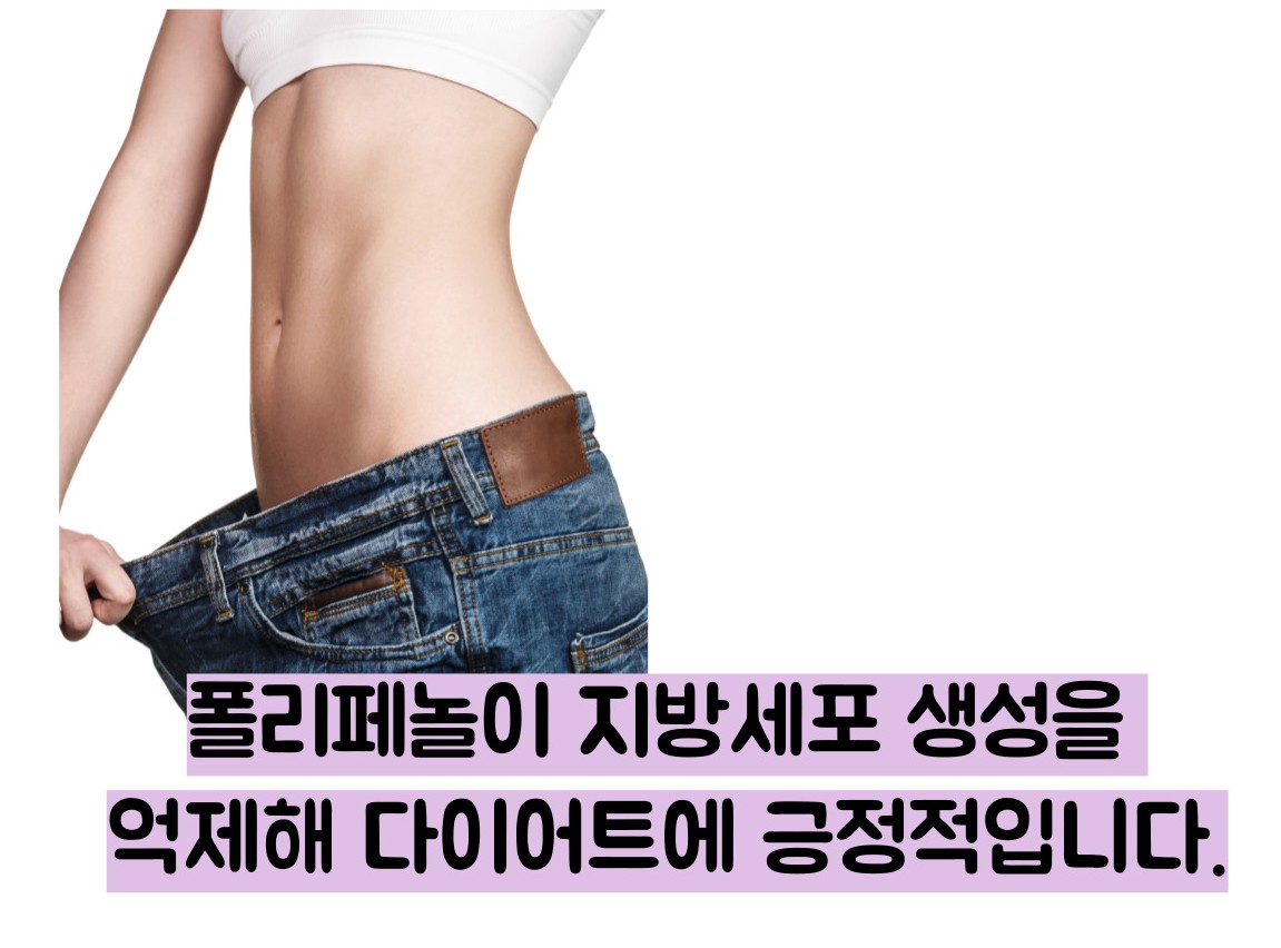 블루베리 효능