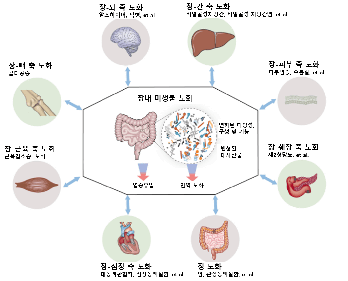 마이크로바이옴