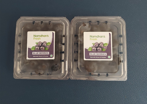 블루베리의 지방 억제 효과