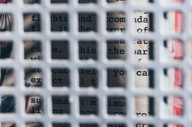 곤충 식품 라벨링, 확인할 정보는?