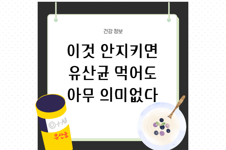 유산균-효능-복용법