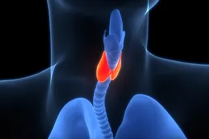 갑상선암-수술비용