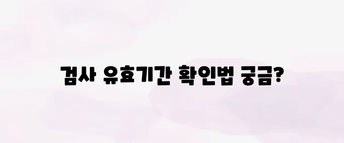 자동차 검사 유효기간 조회 방법 (인터넷·모바일 간편 조회)