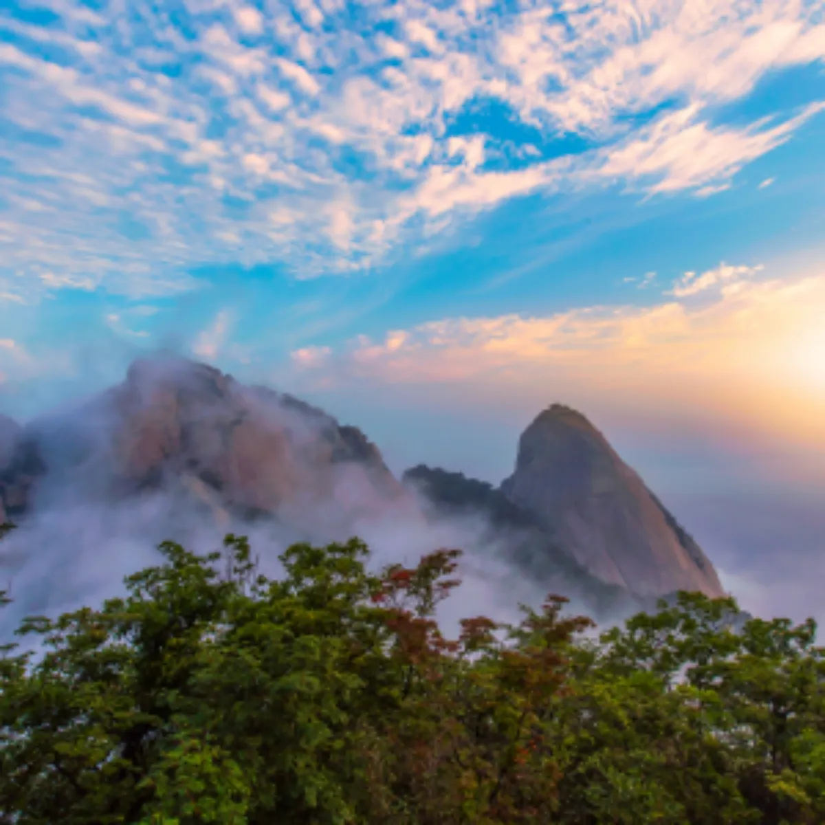 서울 새해 일출 명소