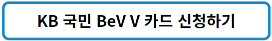 KB 국민 BeV V카드