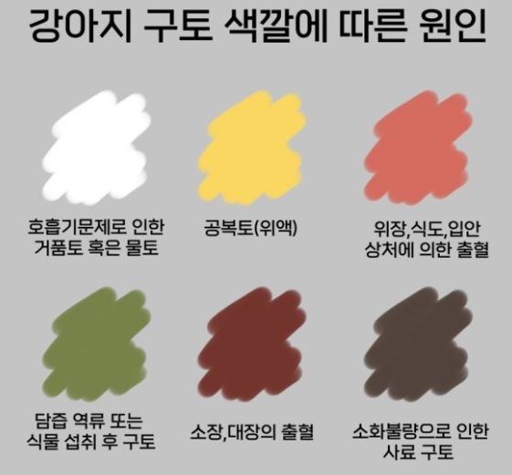 강아지 구토 색깔별 원인/출처:다음 이미지