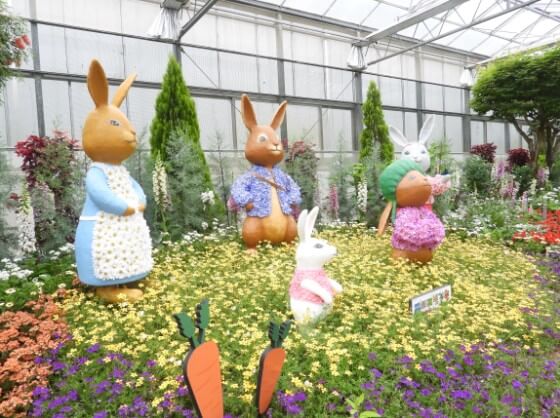 2025 함평 나비 축제 일정부터 주차·입장료까지! 꿀팁 총정리