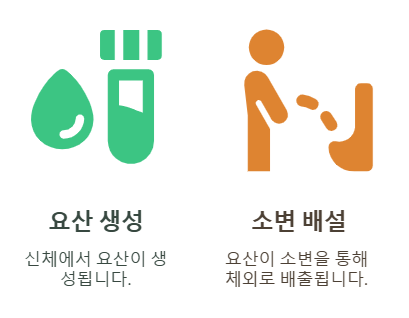 요산이 많은 음식