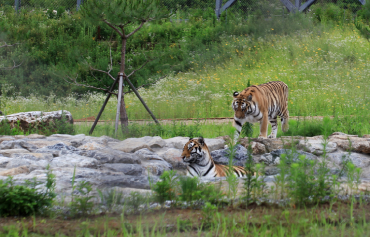 백두대간 수목원