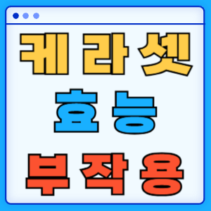 케라셋 효능