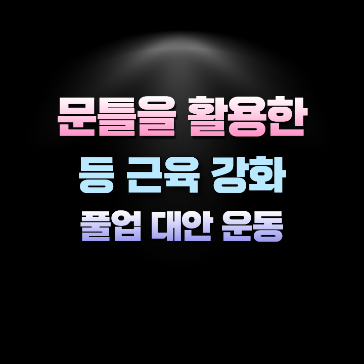 문틀을활용한등근육강화풀업대안운동