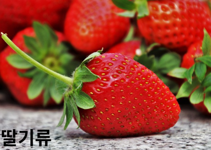 여름 음식 딸기