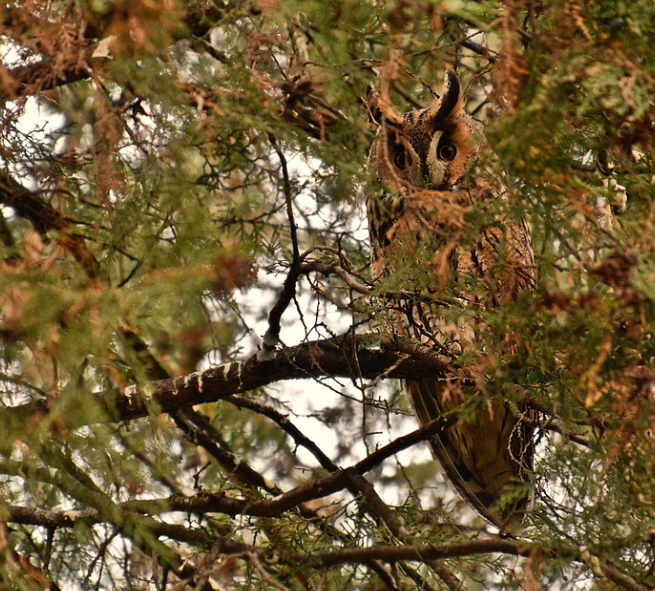 방장산의 자연경관 사진