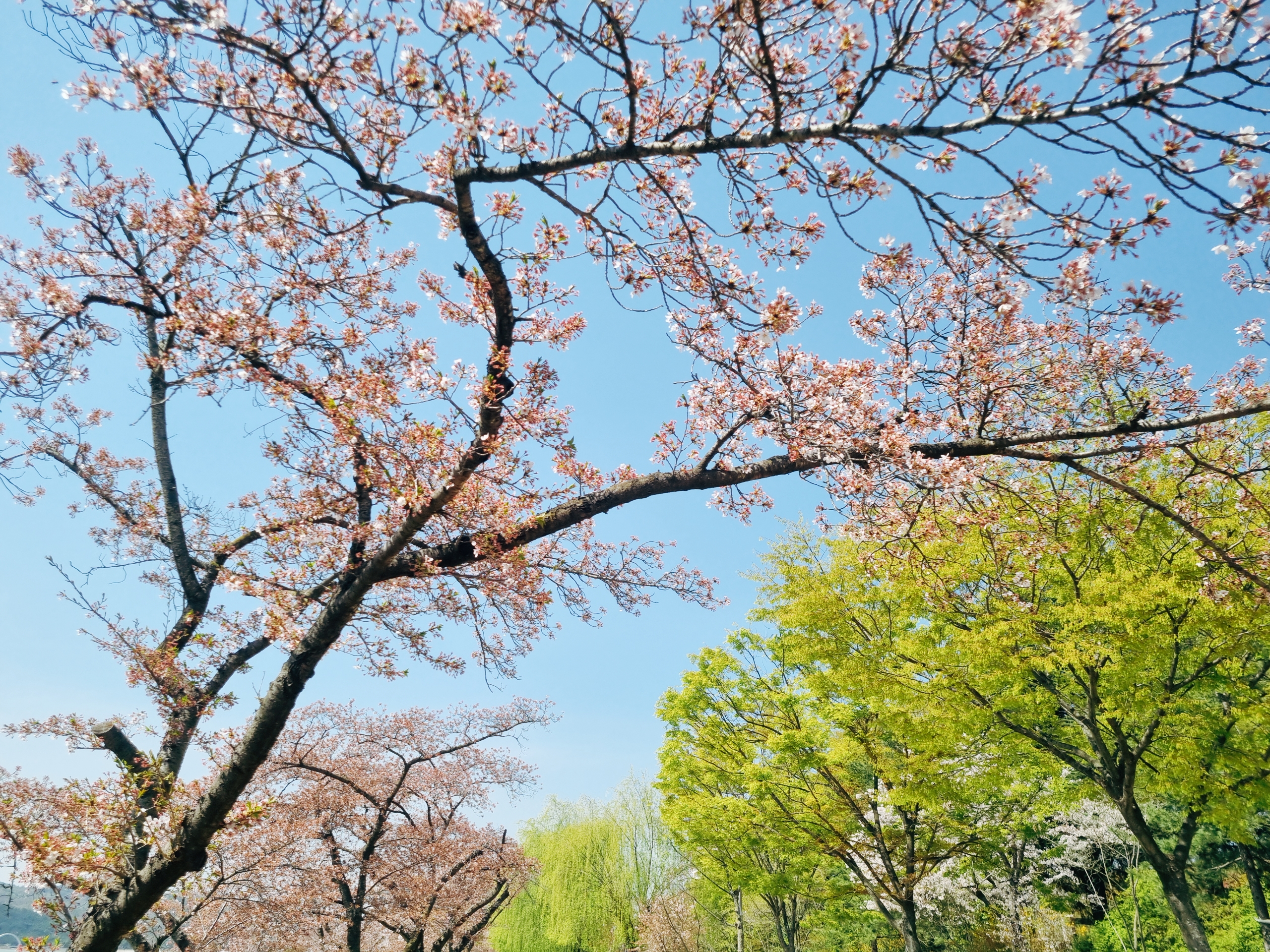 경주 보문단지