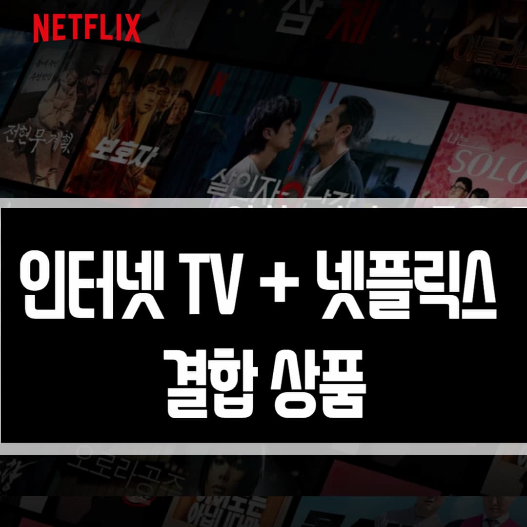 인터넷넷플릭스결합