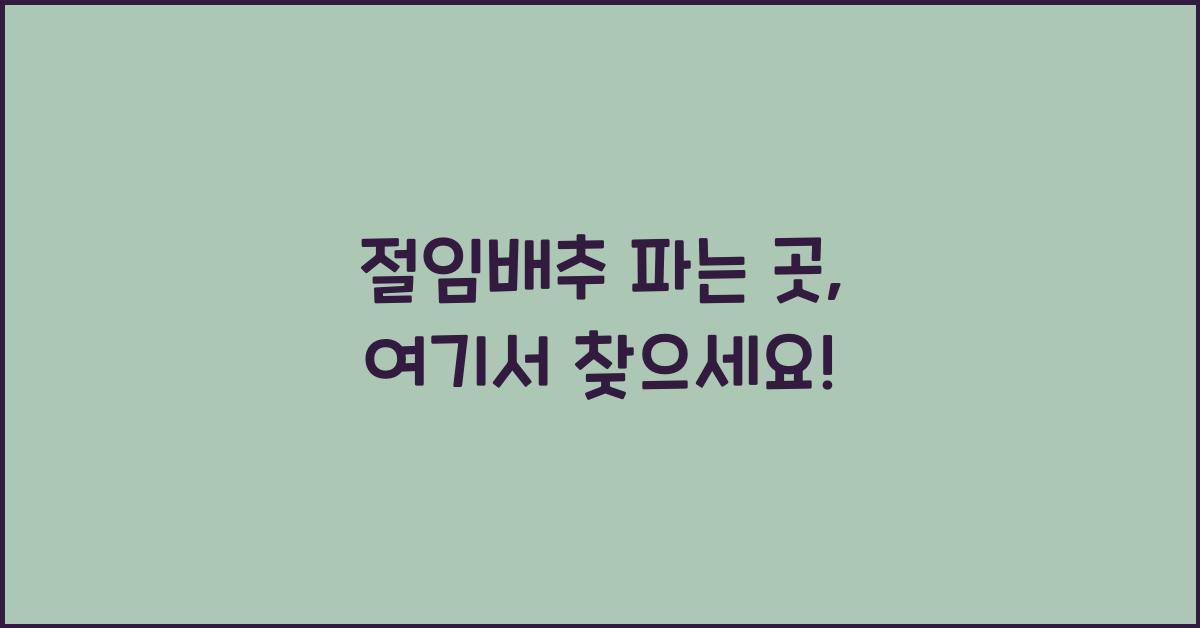 절임배추 파는 곳