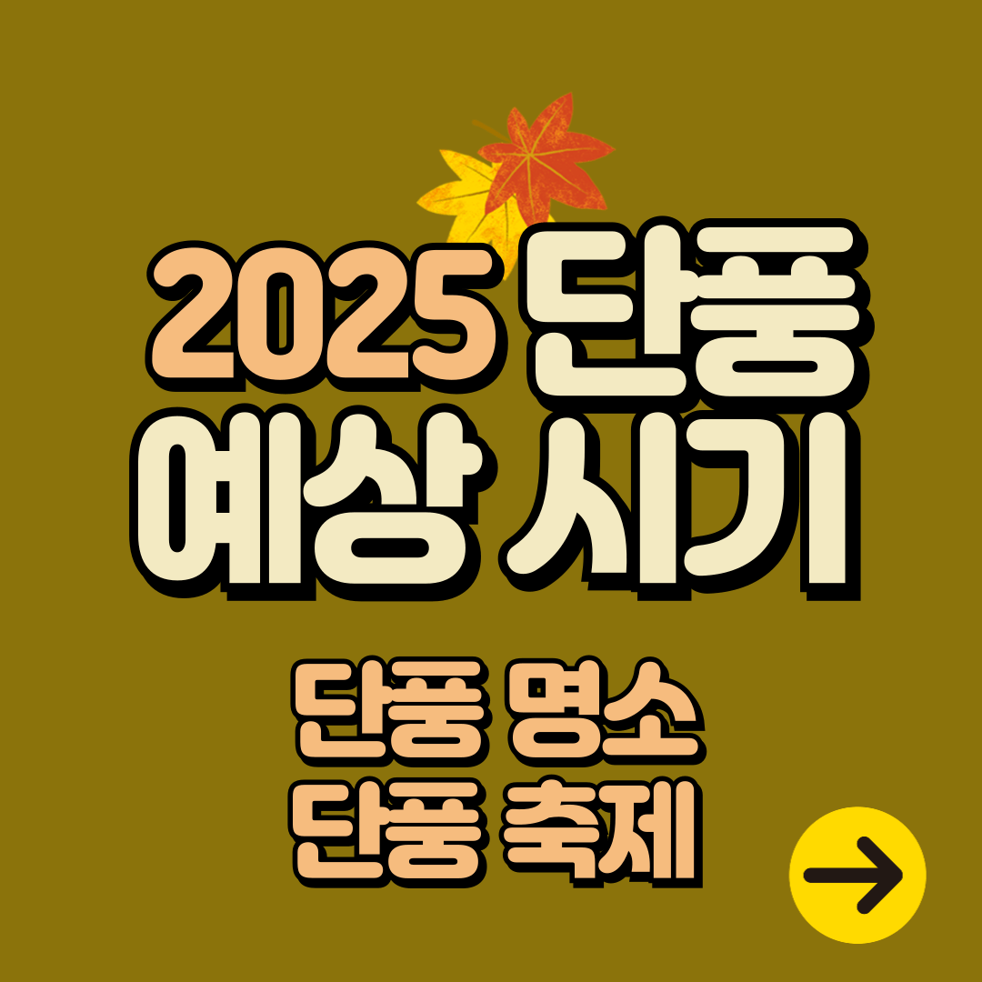 2025년 전국 단풍 예상 시기ㅣ단풍 명소∙축제 총정리