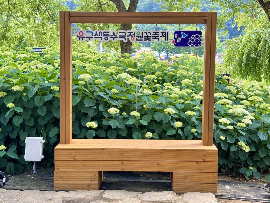 유구색동수국정원 수국축제