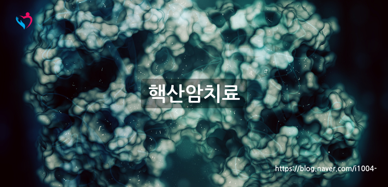 핵산암치료