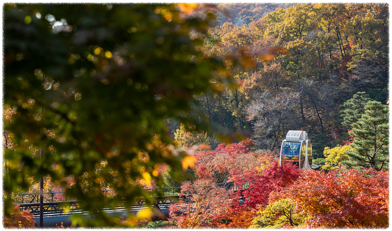 단풍명소