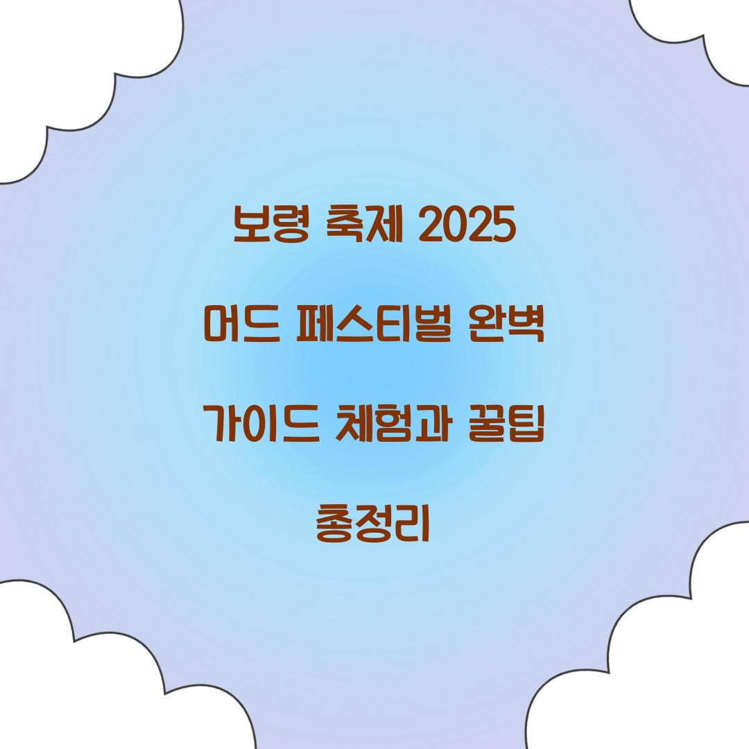 보령 축제 2025 머드 페스티벌