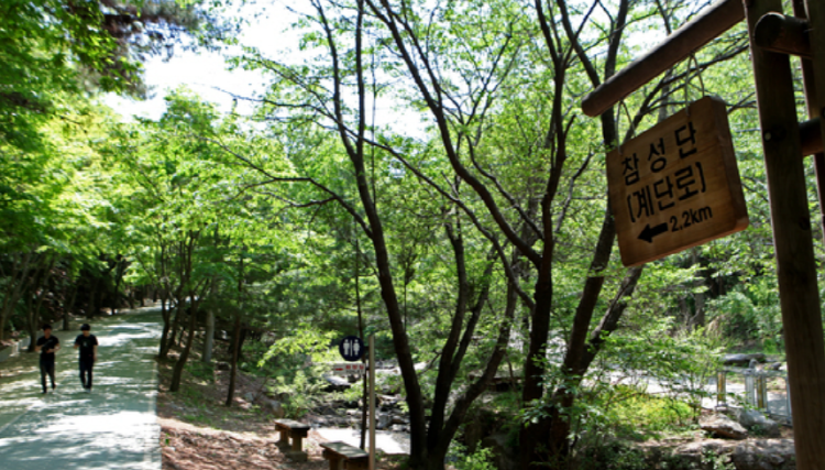 마니산 등산코스