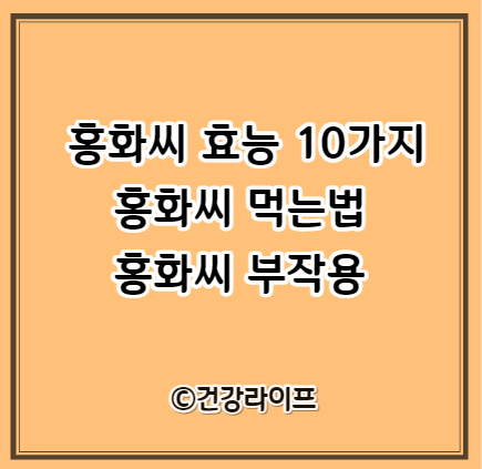 홍화씨 효능 10가지&#44; 홍화씨 먹는법 및 부작용