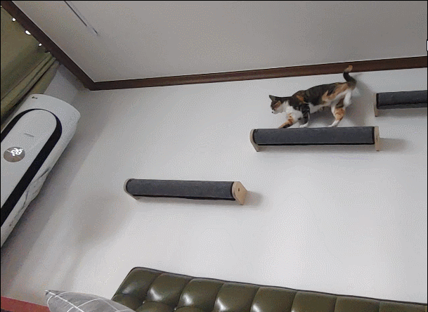 딱폴 750 캣워커