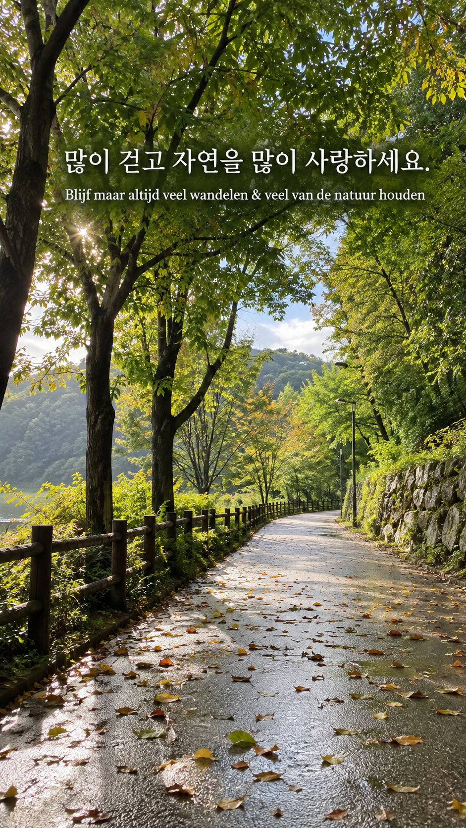 자연을 가까이하기: 많이 걷고 자연을 많이 사랑하세요. 산책로의 젖은 잎과 운동화 없는 빈 길, 휴대폰 스냅