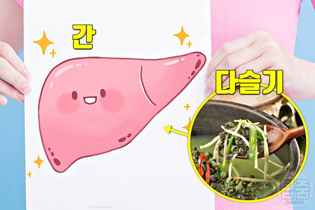 다슬기 효능 부작용 간에 좋은 음식 숙취해소