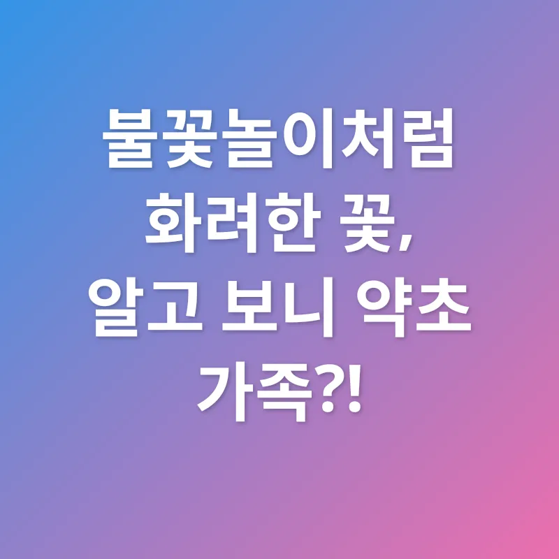 약초의 효능_2