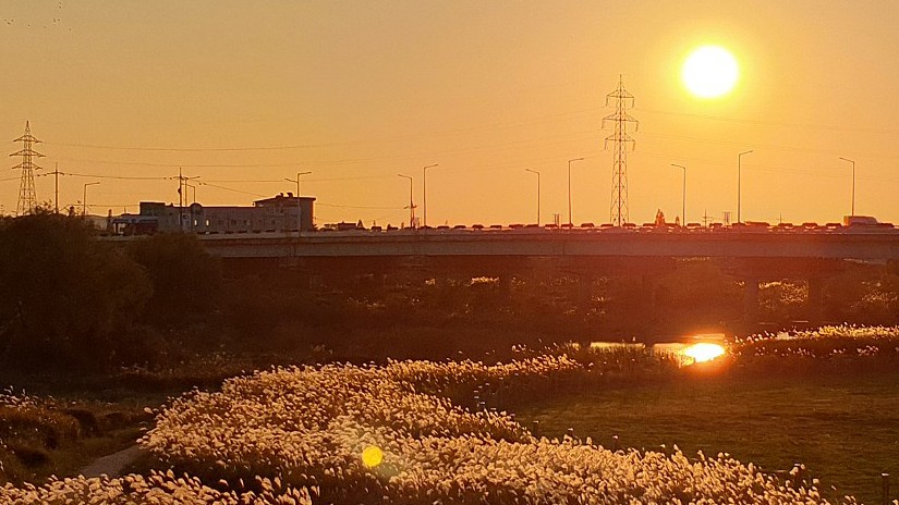 서울근교 갈만한곳 당일치기 여행 평택 - 평택항과 서해대교, 소풍정원, 배다리 생태공원, 평택호, 농업생태원, 오성강변, 진위천 유원지, 원평나루 갈대숲