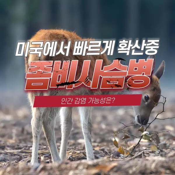 좀비사슴병