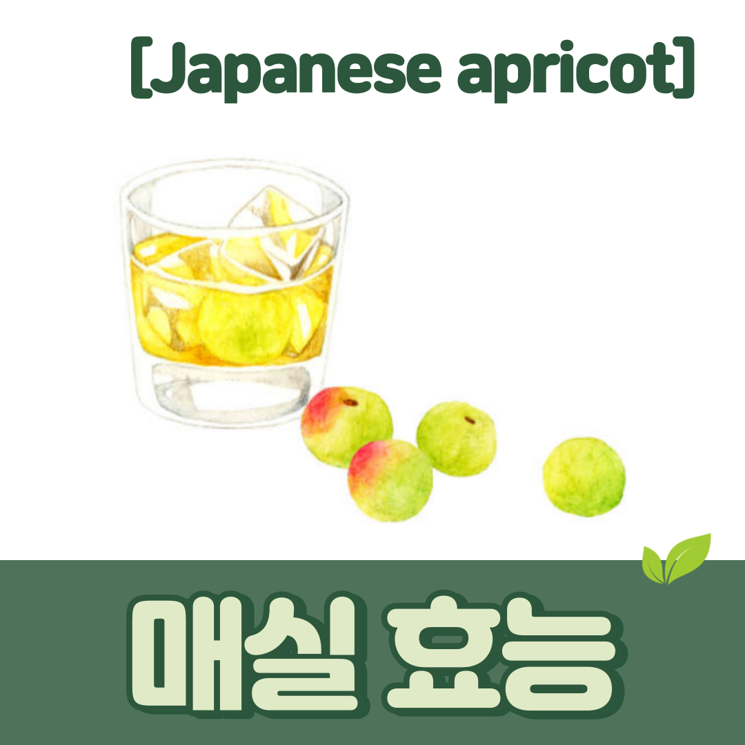 매실