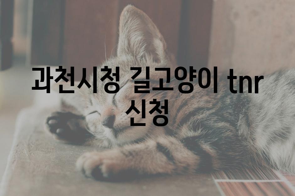 Cats 8