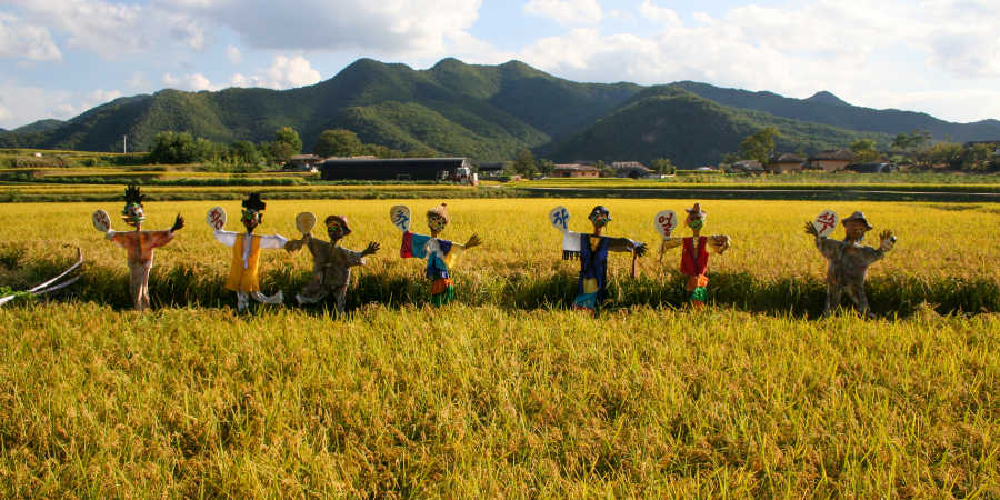 9월 첫째 주 축제 일정