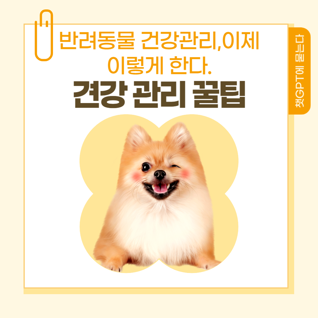 강아지 아프면 구글보다 '챗 GPT' 에 묻는 이유