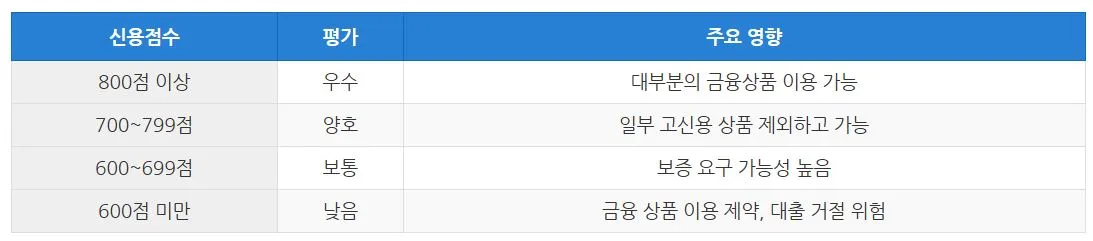 사회초년생 신용점수 등급별 평가 기준과 주요 금융 영향 요약 표