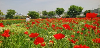 울산 밀양국밥, 6시 내고향 선정