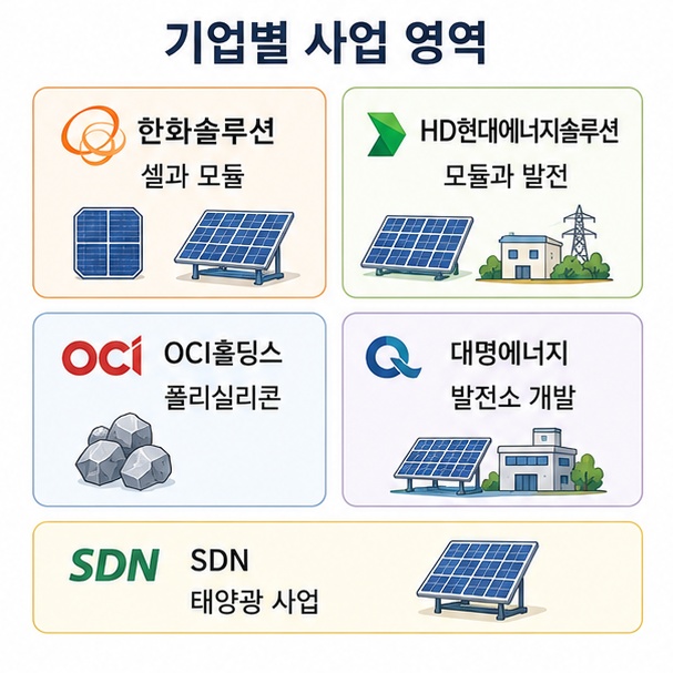 한화솔루션, HD현대에너지솔루션, OCI홀딩스, 대명에너지, SDN이 태양광 산업에서 담당하는 서로 다른 사업 영역을 정리한 그림