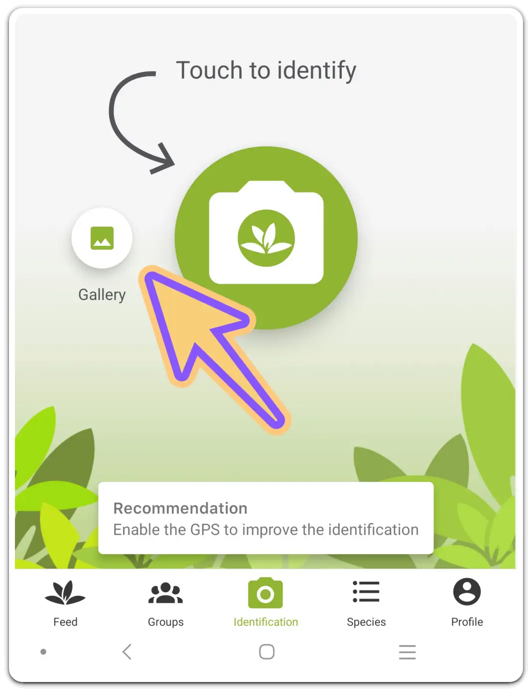 꽃-화초-이름-검색-찾기-무료-어플