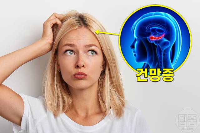 호두 효능 건망증,호두 하루 섭취량