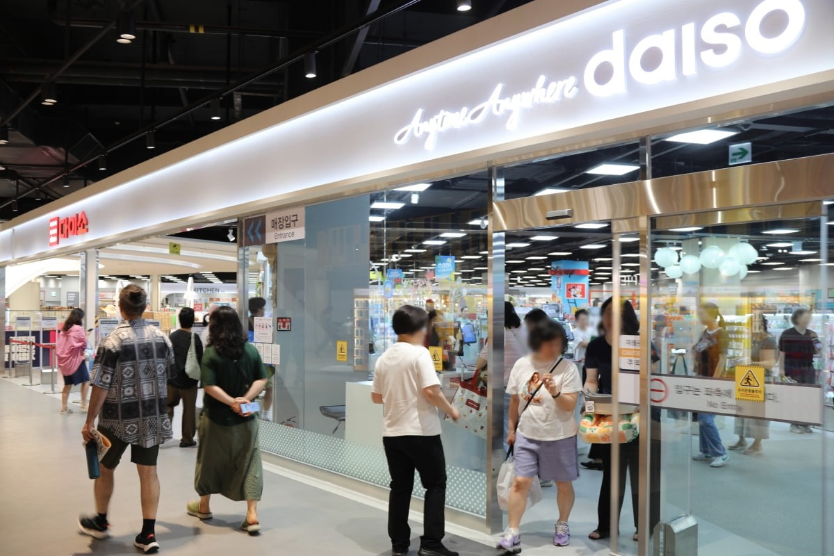 이게 5,000원?? 다이소에서 숨은 보물 찾기