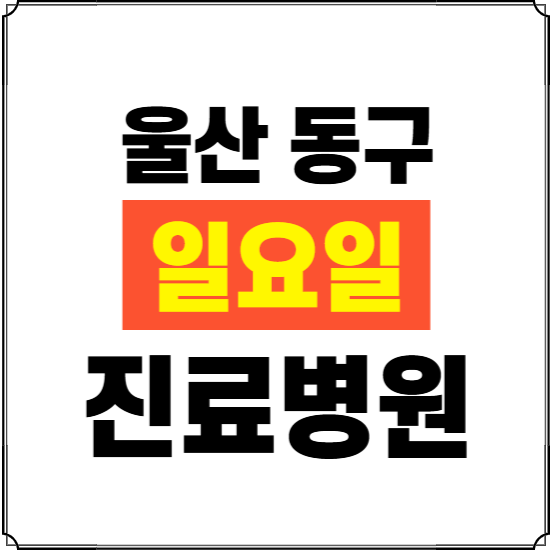 울산 동구 일요일 진료병원 찾기 ❘ 24시 휴일 주말 응급 야간 심야 문여는 병원