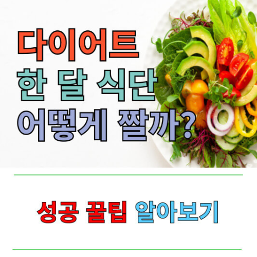 다이어트 식단